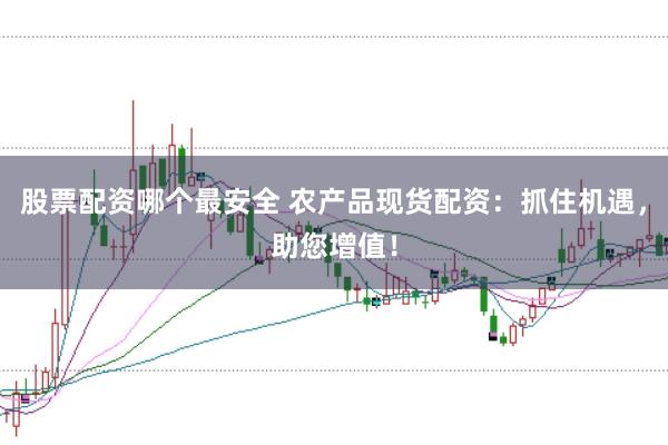 股票配资哪个最安全 农产品现货配资：抓住机遇，助您增值！