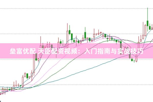 垒富优配 天臣配资视频：入门指南与实战技巧