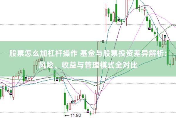 股票怎么加杠杆操作 基金与股票投资差异解析：风险、收益与管理模式全对比