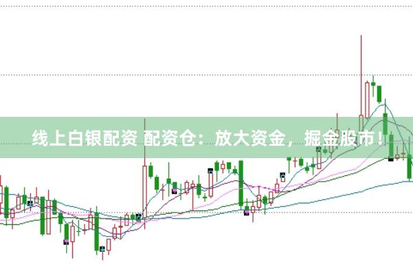 线上白银配资 配资仓：放大资金，掘金股市！