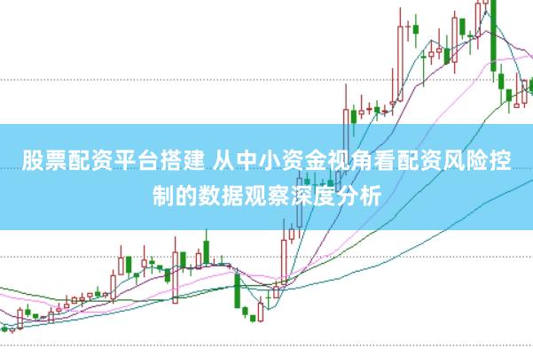 股票配资平台搭建 从中小资金视角看配资风险控制的数据观察深度分析