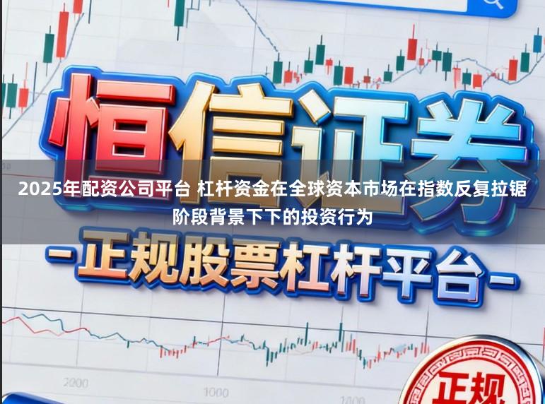 2025年配资公司平台 杠杆资金在全球资本市场在指数反复拉锯阶段背景下下的投资行为
